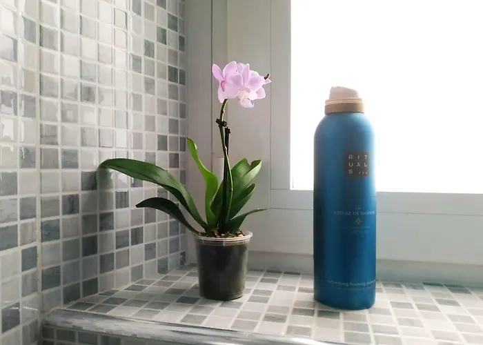 דירה Milky House